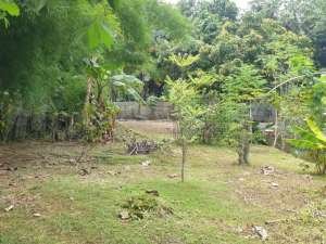 Tanah Di Lokasi Strategis Dekat Puspitek Serpong Cocok Untuk Hunian atau Usaha lokasi di Tangerang Selatan Kota, tersedia melalui melalui situs Olx