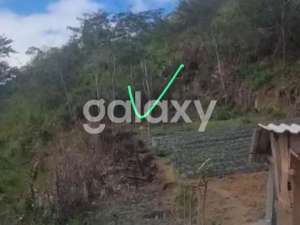 TANAH DI PANCASARI SUKASADA BULELENG, BALI lokasi di Buleleng Kab., tersedia melalui melalui situs Olx