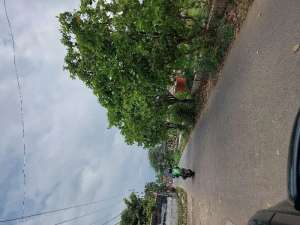 Tanah Di Pinggir Jalan Di Bedahan Sawangan lokasi di Depok Kota, tersedia melalui melalui situs Olx