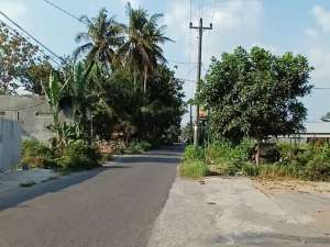 Tanah di Ring 1 Kampus UMY, Kasihan Bantul, Yogyakarta lokasi di Bantul Kab., tersedia melalui melalui situs Olx