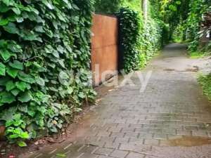 TANAH DI SAYAN UBUD GIANYAR, BALI lokasi di Gianyar Kab., tersedia melalui melalui situs Olx