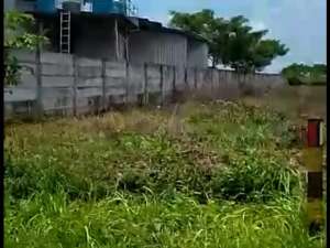 tanah di Tuban lokasi di Tuban Kab., tersedia melalui melalui situs Olx