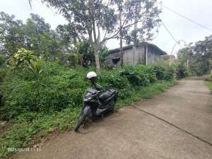 Tanah di Wanagiri Singaraja dekat Altavista Bali Mountain Villa lokasi di Buleleng Kab., tersedia melalui melalui situs Olx