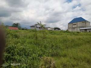 Tanah dijual bandulan pandanlandung dekat UB MCP Dieng LT435 Leb17 430jt lokasi di Malang Kab., tersedia melalui melalui situs Olx