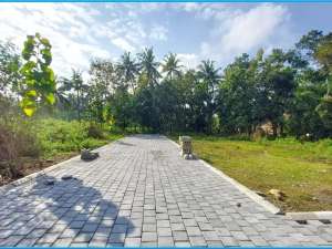 Tanah Dijual Dekat Kampus UAD 4 Tawangsari Jogja 100 Jutaan lokasi di Yogyakarta Kota, tersedia melalui melalui situs Olx