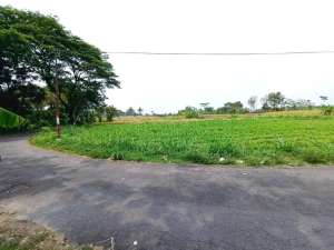 Tanah Dijual Dekat Mataram City Jogja lokasi di Sleman Kab., tersedia melalui melalui situs Olx