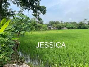 TANAH DIJUAL DI CURUG, KAB. TANGERANG - STRATEGIS UNTUK PABRIKGUDANG SKALA MENENGAH lokasi di Tangerang Kab., tersedia melalui melalui situs Olx