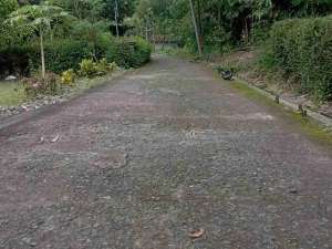 Tanah Dijual di Kedunggalih pengasih Kulon Progo lokasi di Kulon Progo Kab., tersedia melalui melalui situs Olx