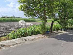 TANAH DIJUAL DI KLATEN DEKAT SGM PRAMBANAN lokasi di Klaten Kab., tersedia melalui melalui situs Olx