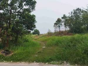 tanah dijual di Parung panjang jl Raya Cibunar lokasi di Bogor Kab., tersedia melalui melalui situs Olx