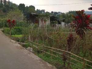 Tanah dijual di pesanggrahan Batu Lt560 Leb20 SHM view gunung lokasi di Batu Kota, tersedia melalui melalui situs Olx