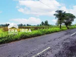 TANAH DIJUAL DI SAWIT BOYOLALI DEKAT BALE RANTJAH PARK DAN RSU PKU DR SOEMOWIDAGDO BOYOLALI lokasi di Boyolali Kab., tersedia melalui melalui situs Olx