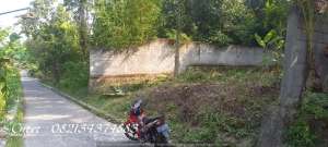 Tanah dijual di Sedayu Yogya, Lt 350m2 lokasi di Bantul Kab., tersedia melalui melalui situs Olx