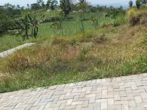 Tanah dijual di sumbersuko wagir Lt72 SHM hanya 45jt dekat sekolah perkampungan lokasi di Malang Kab., tersedia melalui melalui situs Olx