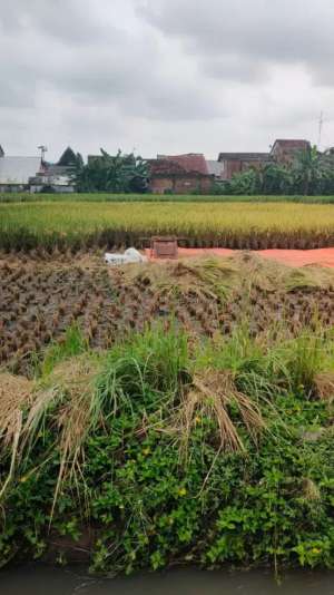 Tanah Dijual Jl Tombro Malang lokasi di Malang Kota, tersedia melalui melalui situs Olx