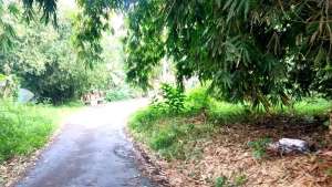 Tanah dijual luas 1000 m2 dekat jalan utama dan nempel jalan di Rumpin lokasi di Bogor Kab., tersedia melalui melalui situs Olx