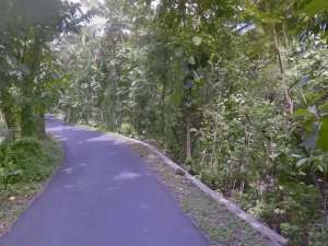 Tanah Dijual Luas 1898 Meter Persegi di Jalan Milir, Panjatan - Kulon Progo lokasi di Kulon Progo Kab., tersedia melalui melalui situs Olx