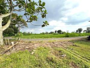 Tanah Dijual Murah Area Palagan Rejodani Sleman lokasi di Sleman Kab., tersedia melalui melalui situs Olx