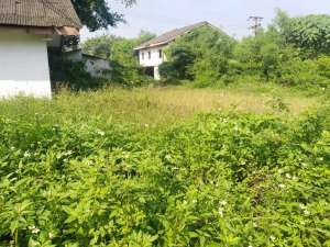 Tanah dijual murah Cikarang Barat dekat Ramayana Cibitung lokasi di Karawang Kab., tersedia melalui melalui situs Olx