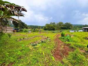 TANAH EMPANG DAN DARAT MURAH DEKAT KE JALAN UTAMA DI MEKARSARI RANCA BUNGUR lokasi di Bogor Kab., tersedia melalui melalui situs Olx