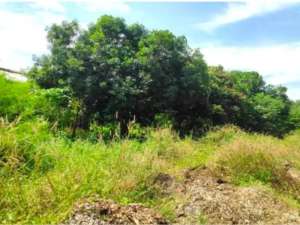 TANAH GUDANG RAYA FATAHILLAH WERU CIREBON WR3311 lokasi di Cirebon Kab., tersedia melalui melalui situs Olx