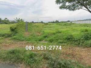 Tanah Gunung Gangsir Beji Pasuruan lokasi di Pasuruan Kab., tersedia melalui melalui situs Olx