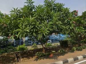 Tanah Halim Perdanakusuma 6112m, diapit kawasan gedung perkantoran, sangat strategis lokasi di Jakarta Timur, tersedia melalui melalui situs Olx