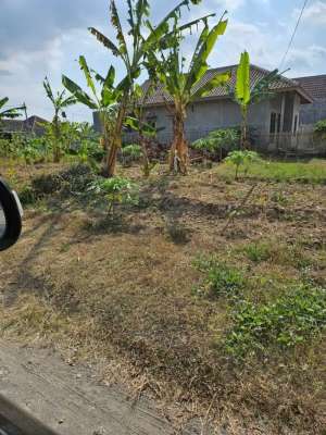 TANAH HOOK 274M STRATEGIS SEBELAH SUPERINDO DEPAN AKMIL lokasi di Magelang Kota, tersedia melalui melalui situs Olx