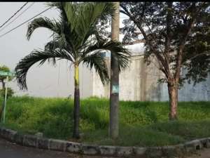 Tanah Hook Bebas Banjir Di Ancol Barat Jakarta Utara lokasi di Jakarta Utara, tersedia melalui melalui situs Olx