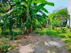 Tanah Hook Murah Kebonsari ELVEKA - Ketintang Gayungsari Jambangan lokasi di Surabaya Kota, tersedia melalui melalui situs Olx