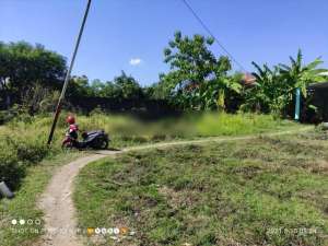 Tanah hook siap bangun akses mobil di kota Cirebon lokasi di Cirebon Kab., tersedia melalui melalui situs Olx