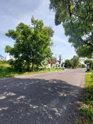 Tanah Hook Tepi Jl. Palagan Sekolah SD, SMP, SMA lokasi di Sleman Kab., tersedia melalui melalui situs Olx