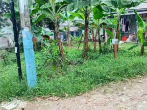 Tanah huk 96 m2 dekat Jalan Dongkal Tugu Tani Depok lokasi di Depok Kota, tersedia melalui melalui situs Olx