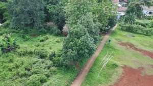 Tanah Hunian Murah di Warujaya dekat Pasar Parung lokasi di Bogor Kab., tersedia melalui melalui situs Olx