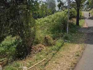 TANAH JATINANGOR LUAS IDEAL UNTUK CAFE, CLUSTER, HUNIAN,USAHA LAINNYA lokasi di Sumedang Kab., tersedia melalui melalui situs Olx