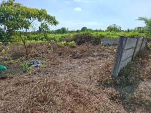 Tanah jl Darma Bakti ujung kota Pekanbaru lokasi di Pekanbaru Kota, tersedia melalui melalui situs Olx