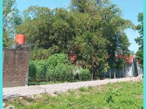 Tanah Jogja 4 Menit Dari Kampus UII Kaliurang Cocok Kost lokasi di Sleman Kab., tersedia melalui melalui situs Olx