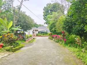 Tanah Jogja 700 Meter Dari Jl Raya Tajem Maguwoharjo lokasi di Sleman Kab., tersedia melalui melalui situs Olx