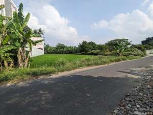 Tanah Jogja Area Jl. Raya Tajem Maguwoharjo Sleman Akses Jalan Besar lokasi di Sleman Kab., tersedia melalui melalui situs Olx