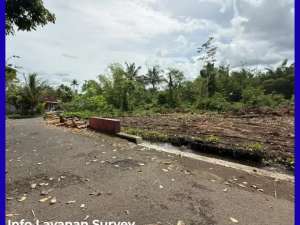 Tanah Jogja Barat Jl Palagan 2 Jtmtr Shm Pekarangan lokasi di Sleman Kab., tersedia melalui melalui situs Olx