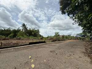 Tanah Jogja Barat Jl Palagan Km14 Sleman SHM Pekarangan lokasi di Sleman Kab., tersedia melalui melalui situs Olx