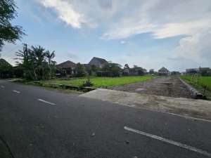Tanah Jogja Dekat Hotel Hyyat dan Kampus UGM, View Sawah dan Legalitas SHM Pekarangan lokasi di Sleman Kab., tersedia melalui melalui situs Olx