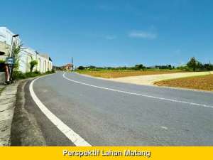 Tanah Jogja Dekat Kampus Ternama, Tepi Jalan Raya dan View Sawah lokasi di Sleman Kab., tersedia melalui melalui situs Olx