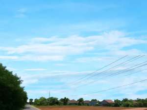 Tanah Jogja Dekat Kampus UGM Nyaman Huni dan Asri lokasi di Sleman Kab., tersedia melalui melalui situs Olx