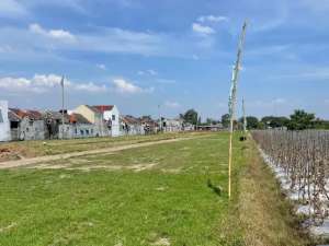 TANAH JOGJA DEKAT RINGROAD BARAT JOGJA lokasi di Sleman Kab., tersedia melalui melalui situs Olx