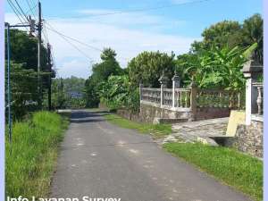 Tanah Jogja SHM Pekarangan 5 Menit Kampus Islam Mulia Gamping lokasi di Sleman Kab., tersedia melalui melalui situs Olx
