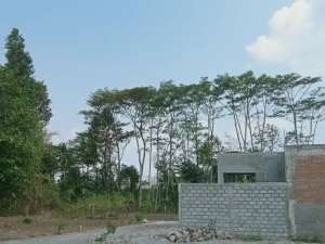 Tanah Jogja Siap AJB,Dekat Pasar Jangkang kaliurang lokasi di Sleman Kab., tersedia melalui melalui situs Olx