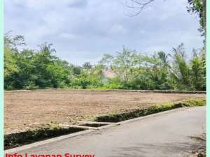 Tanah Jogja Utara Pasar Rejodani Area Jl Palagan km12 lokasi di Sleman Kab., tersedia melalui melalui situs Olx