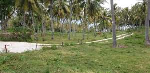 Tanah Kapling senggigi dekat Sheraton hotel lokasi di Lombok Barat Kab., tersedia melalui melalui situs Olx