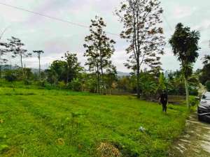 Tanah Karang pandan 2100Mt, Ld 30Mt, dekat Agrowisata Amanah, Karang anyar lokasi di Karanganyar Kab., tersedia melalui melalui situs Olx